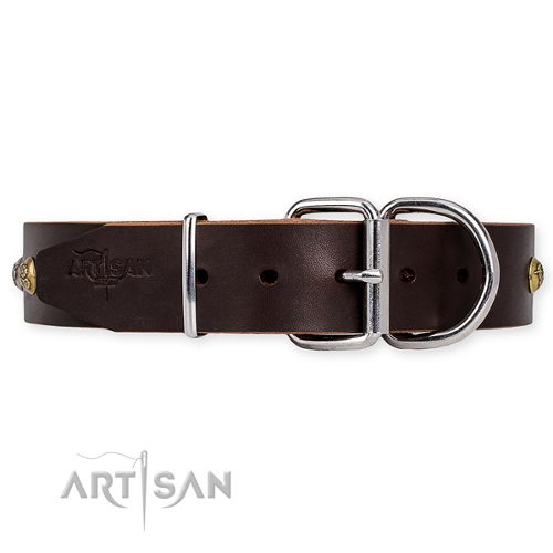 Luxury Leather Dog Collars for Walking