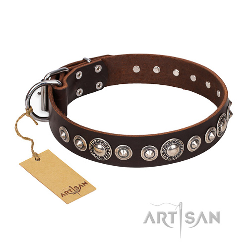 Light Brown Leather Dog Collar with Studs