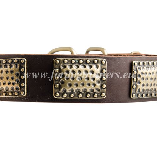 Stylish Leather dog Collar with Plates