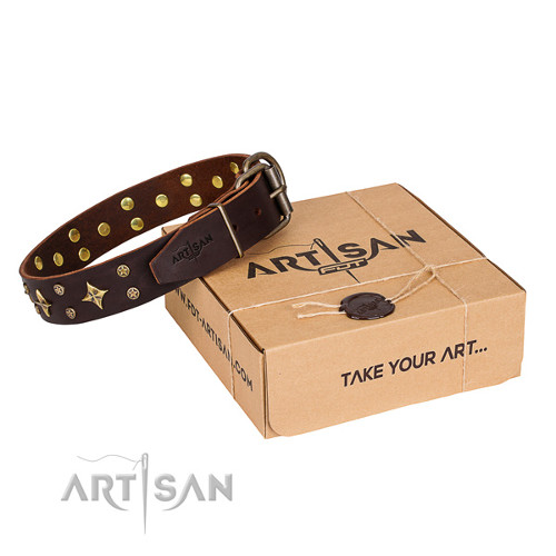 Luxurious Brown Leather Dog Collar