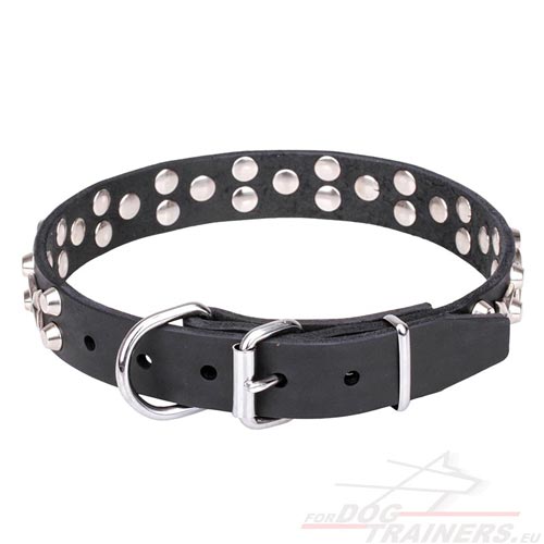 Studded Dog Collar with Chromed Stars and Cones