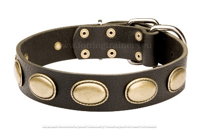Decorated Leather Dog Training Collar Brown with Plates