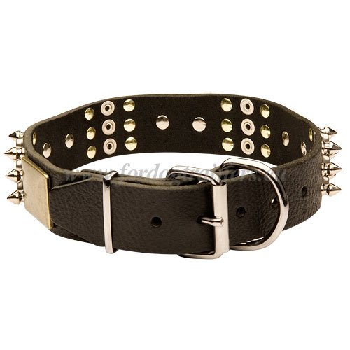 Designer Leather Dog Collars FDT