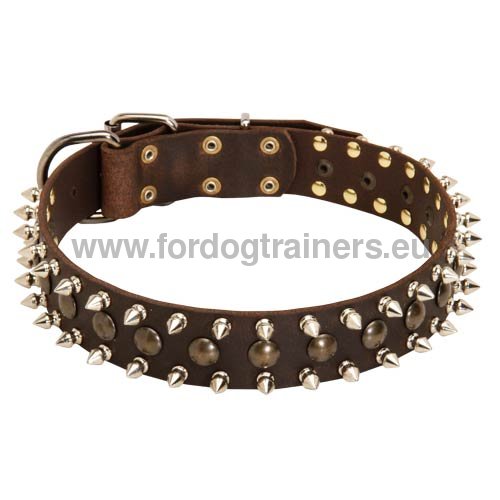Studded Leather Dog Collar with Spikes