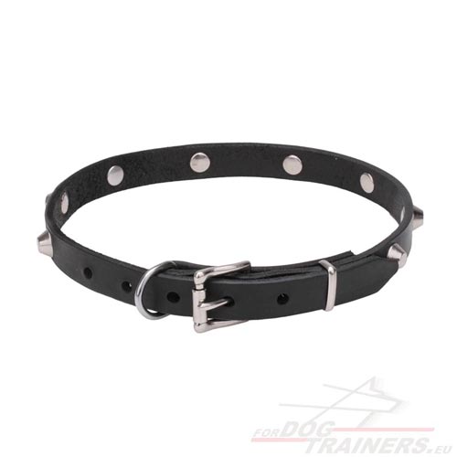 Unbreakable leather Collar for Dog