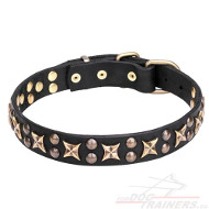 Amazingly Decorated Leather Dog Collar※