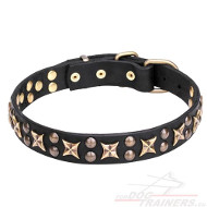 Fancy Dog Collar