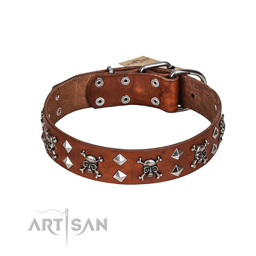 Designer Leather Dog Collar with Skulls