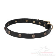 Honden halsband Dog Collar | handgemaakt⋙