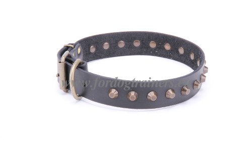Pet Collar
Leather for Dogs