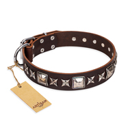 Collier en cuir marron pour chien plaqu