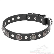 Collier en cuir et acier plaqu chrome pour chien