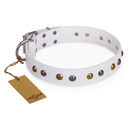 White Leather Collar for Dogs
