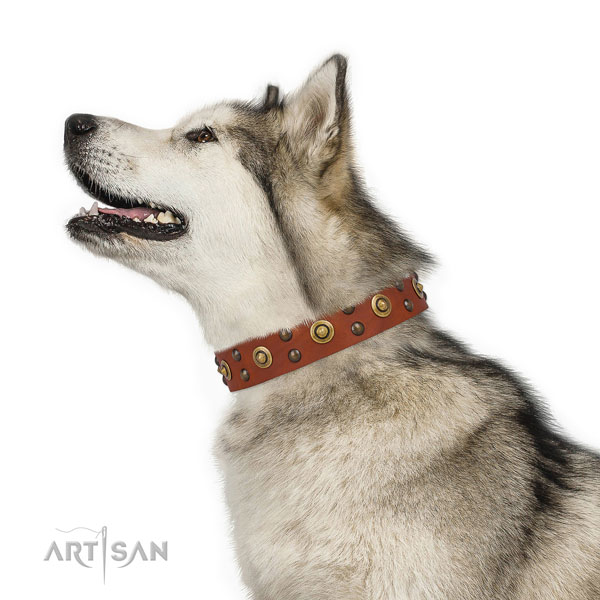 Sled Dog Leather Collar