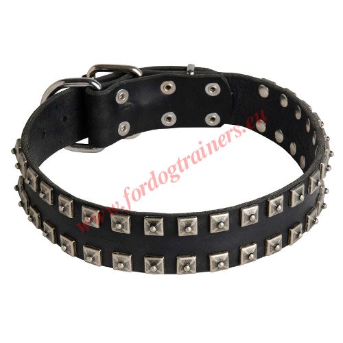 Studded
Dog Collar Designer