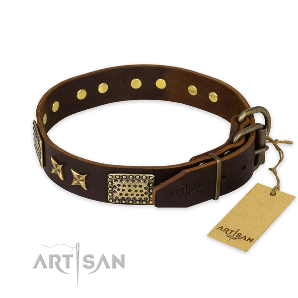 Leather Artisan Collar for Dogs