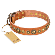 Tan Leather Dog Collar