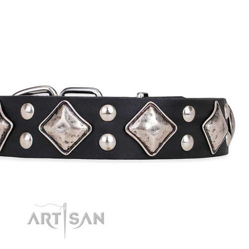 Handmade Leather Studded Dog Collars Multifunctional