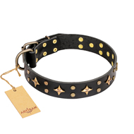 Black Leather Dog Collar with Stars