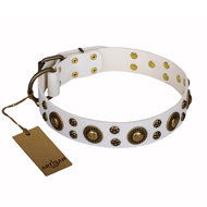 White Leather Dog Collar with Brass Studs