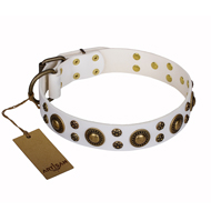 Collier blanc pour chien avec clous en laiton