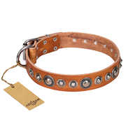 Tan Leather Wide Dog Collar