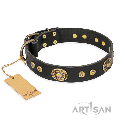 Leather Black Collar for Dog with Oval Decor