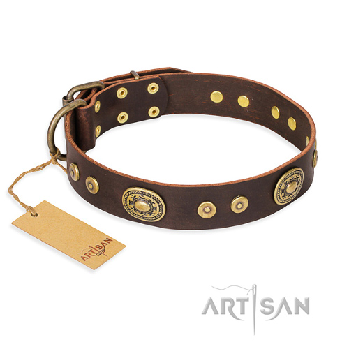 Handgemaakte bruine leren hondenhalsband FDT ARtisan