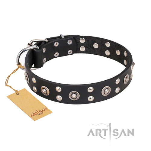 Studded Dog Collars for Large Dogs Black