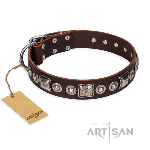 Artisan Leather Dog Collar Super Durable