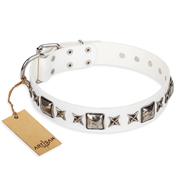 Collier de chien en cuir blanc