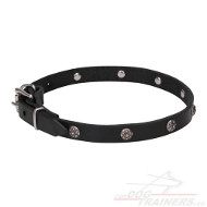 Handmade Leather Collar with Studs for Big Dog