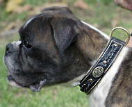 Collier pour chien Boxer fait  la main