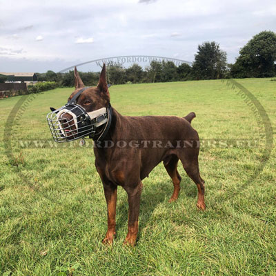 Metal Basket Dog Muzzle with Leather Straps