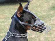 Muselire
              en fil de fer, Doberman