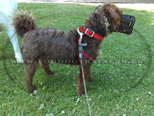 Leather Dog Muzzle with Quick Release Buckle