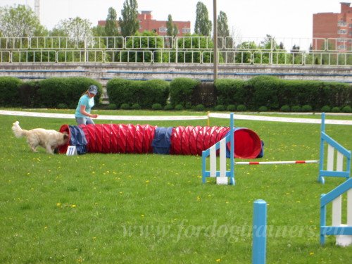 Tunnel pour Agility