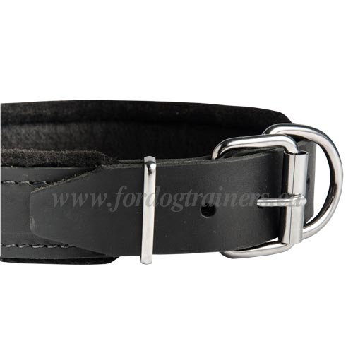 Wide Padded Dog Collar