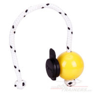 Magnet Dog Ball Yellow with Multi power Clip Magnet Dog Ball Yellow with Multi power Clip