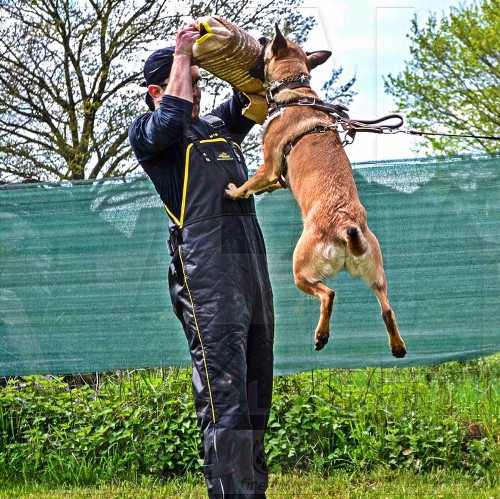 Protective Cuff for Malinois Training Sleeve