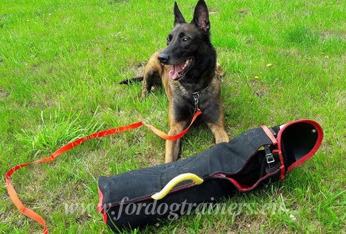 Police Dog Training Bite Sleeve with Strong Cover