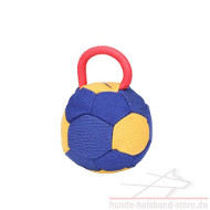 Bite Ball with Functional Handle