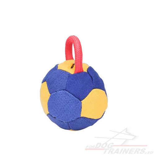 Dog
          Bite Ball with Nylon Handle