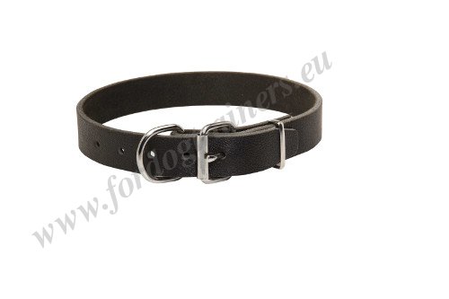 Schlichtes Hundehalsband Leder Schwarz