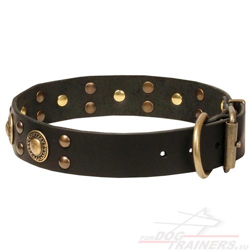 Wide Dog Leather Collar