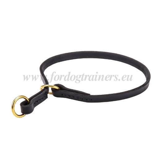 Choking
Collar for Dogs