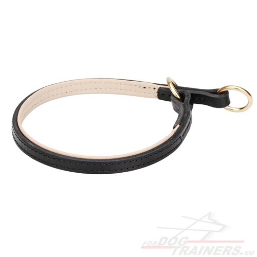 Dog Choker Leather with Brass Hardware