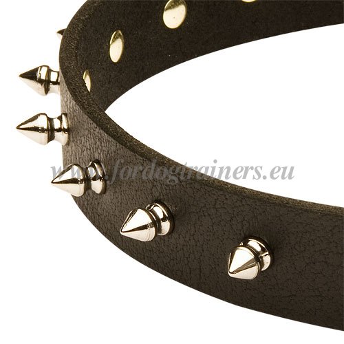 Leather Collar for Malinois with Bright Spikes