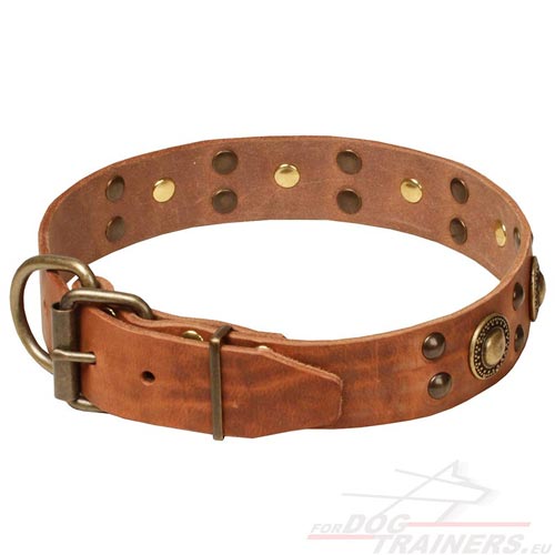 Dog
Collar Natural Color Leather