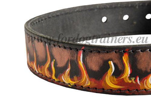 Fancy
Leather Dog Collar